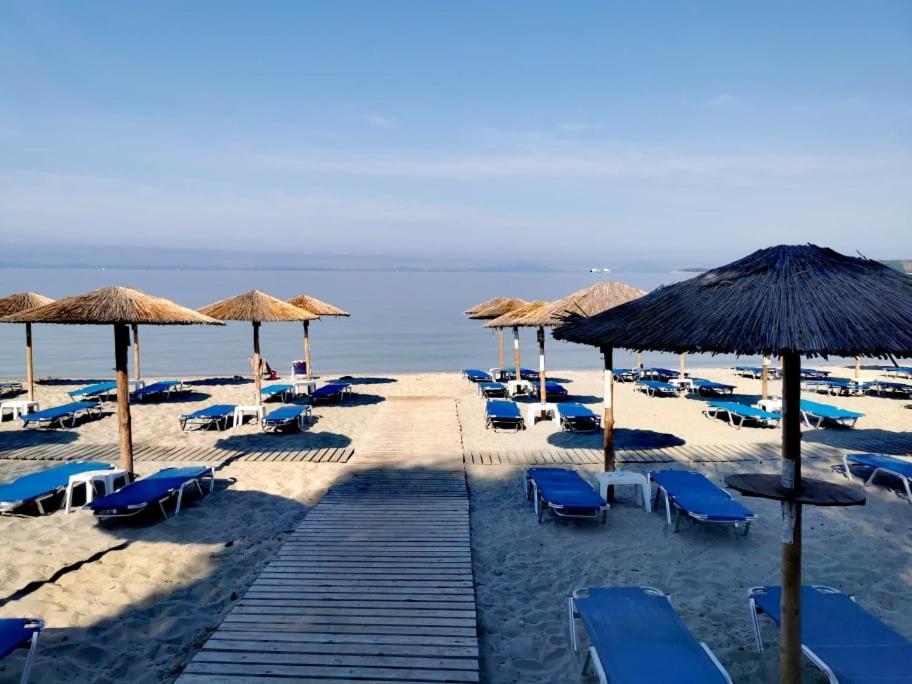 Camping Drepanos Igoumenitsa Ngoại thất bức ảnh