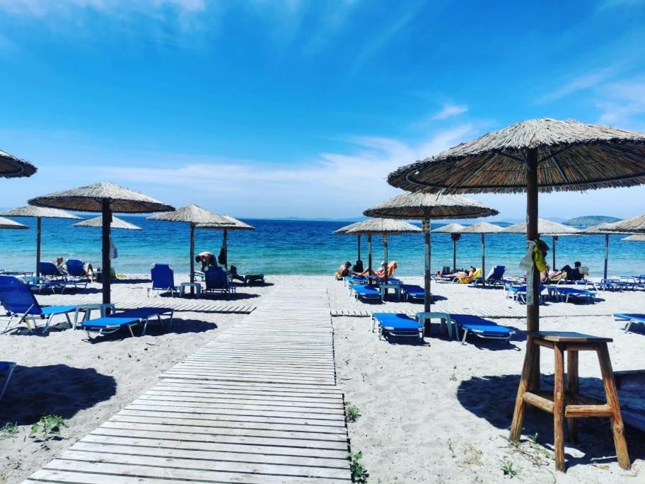Camping Drepanos Igoumenitsa Ngoại thất bức ảnh